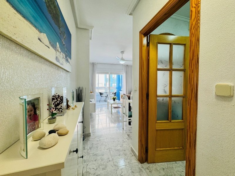 Appartement mit 1 Schlafzimmer, 1 Bad, Gemeinschaftsdachterrasse und Gemeinschaftspool nur 200 m vom Strand - 5