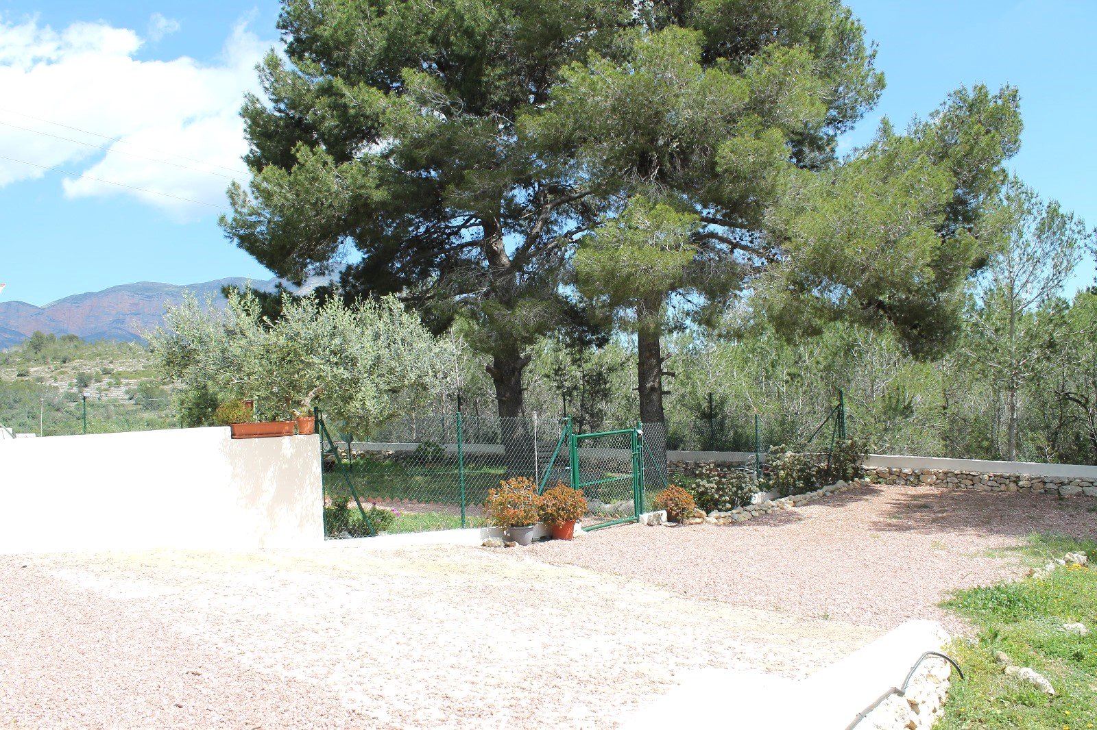 Charmante Rustikale Finca mit Großem Grundstück in Naturnaher Lage - 5