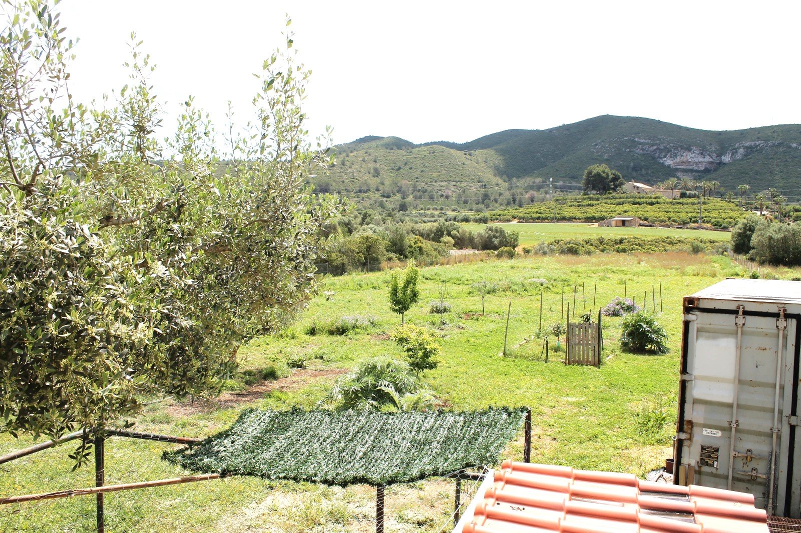 Charmante Rustikale Finca mit Großem Grundstück in Naturnaher Lage - 2