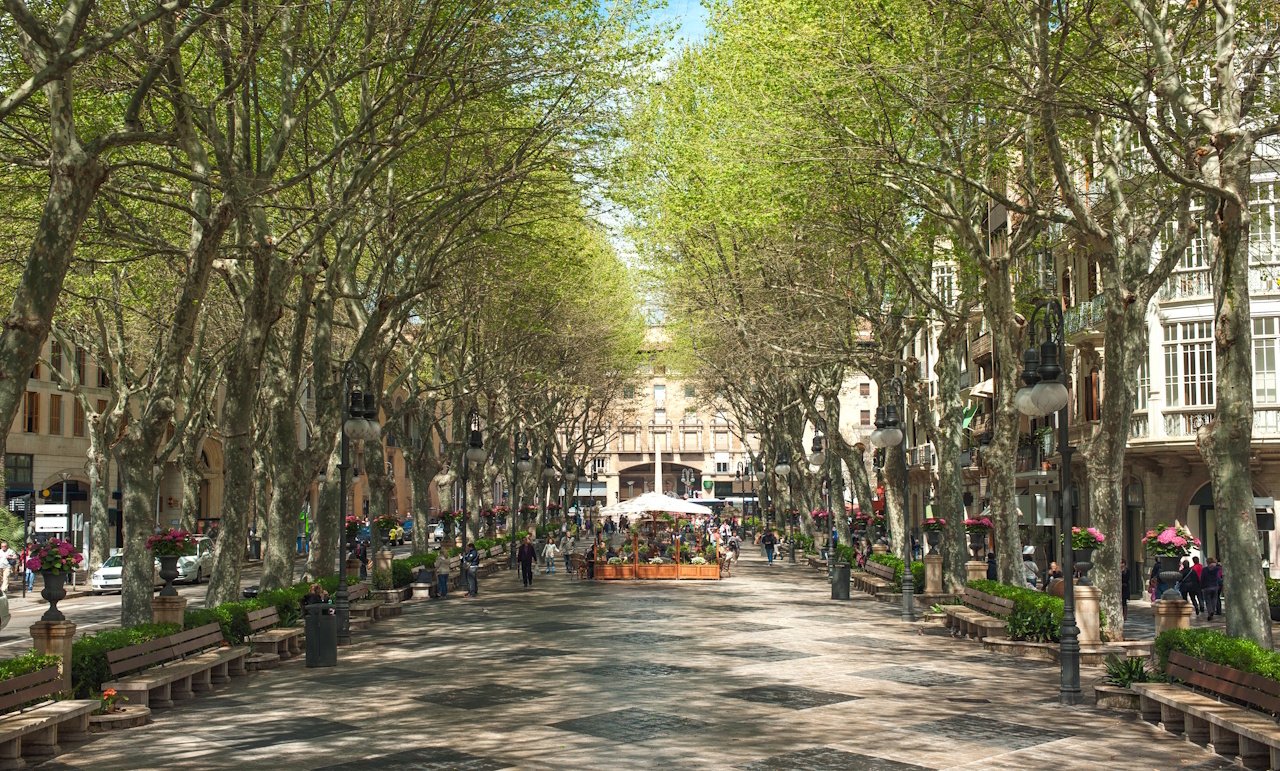 Penthouse-Wohnungen mit 3 Schlafzimmern, 2 Bädern, Dachterrasse, Klimaanlage und optionalem Tiefgaragenstellplatz im Zentrum von Palma de Mallorca - 18