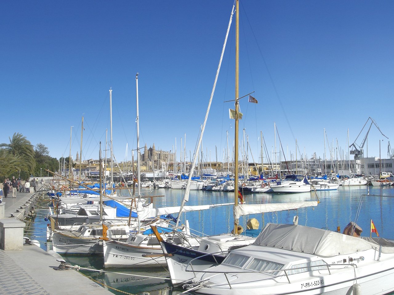 Penthouse-Wohnungen mit 3 Schlafzimmern, 2 Bädern, Dachterrasse, Klimaanlage und optionalem Tiefgaragenstellplatz im Zentrum von Palma de Mallorca - 19