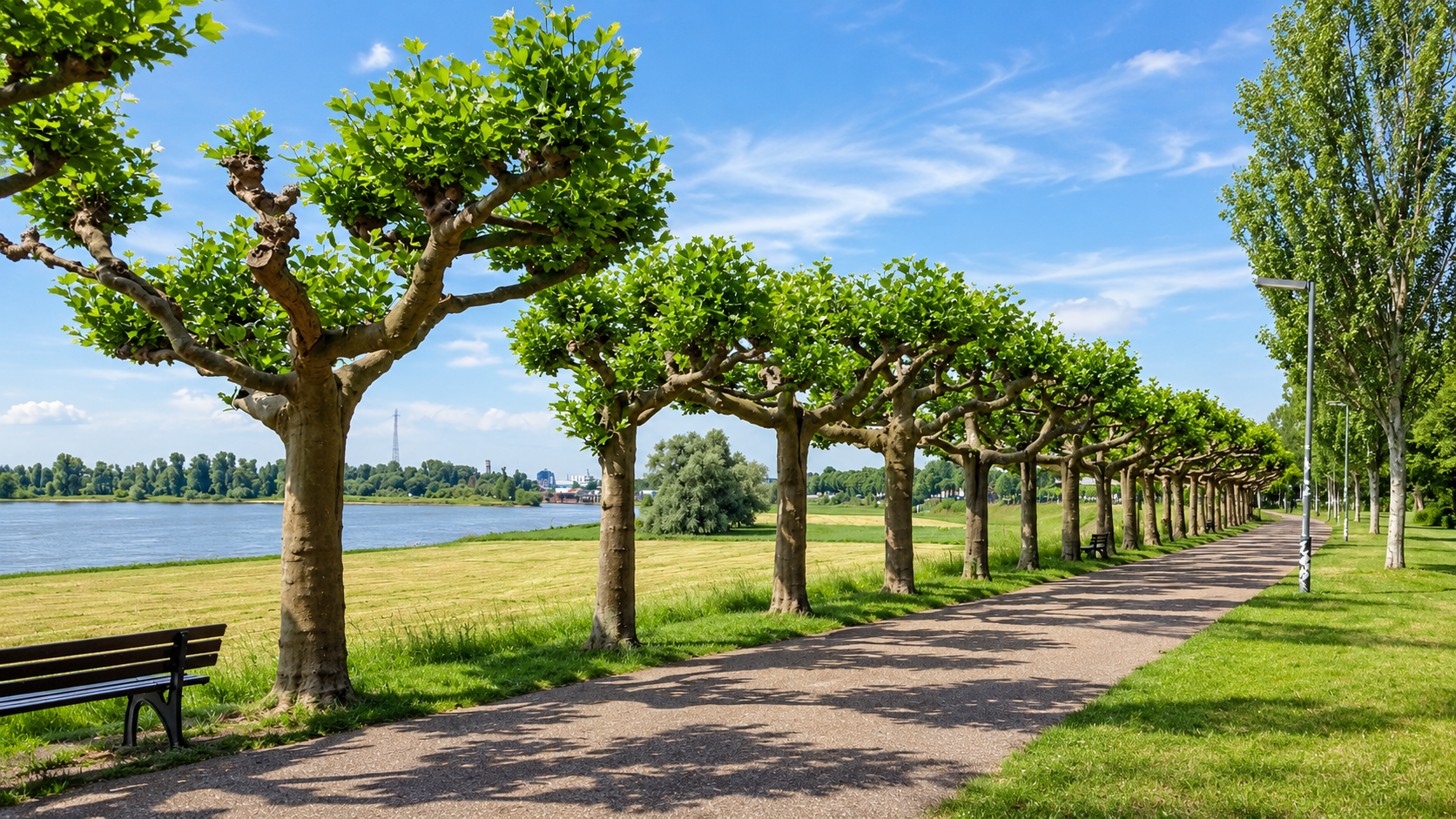 Ruhe genießen, am Rhein zuhause sein - Bungalow in Düsseldorf-Heerdt - 1