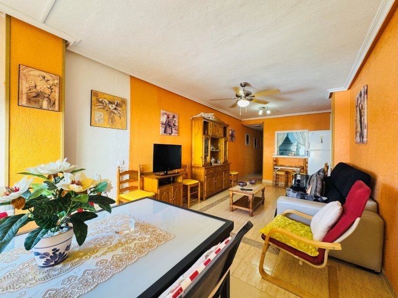 Appartement mit 2 Schlafzimmern und 1 Bad im Zentrum von La Mata nur 100 m vom Strand entfernt - 2