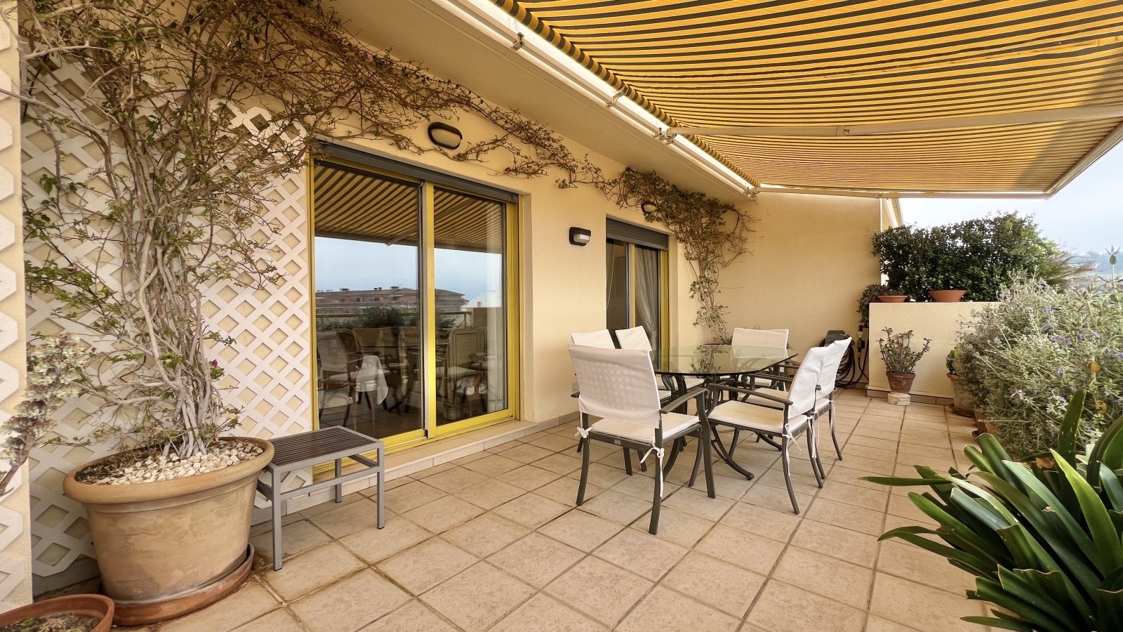 Exklusives Duplex-Penthouse mit 4 Schlafzimmern und privatem Pool auf der Dachterrasse - 7